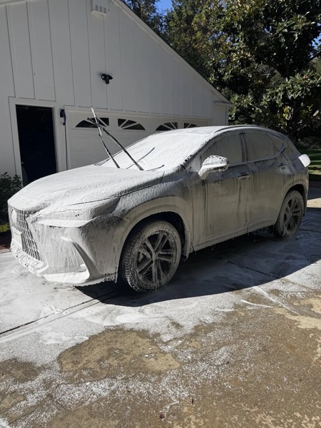 Vehicle detailing photo 9